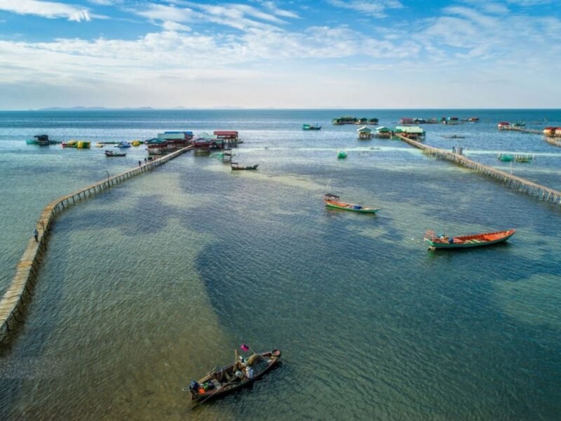 Rạch vẹm